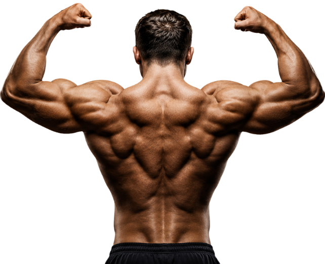 Best gym equipment in delhi